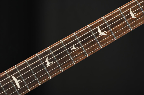 PRS SE Silver Sky in Dragon Fruit with Gig Bag