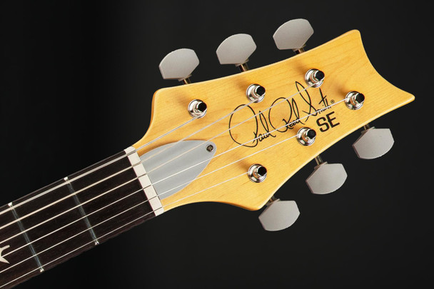 PRS SE Silver Sky in Evergreen with Gig Bag