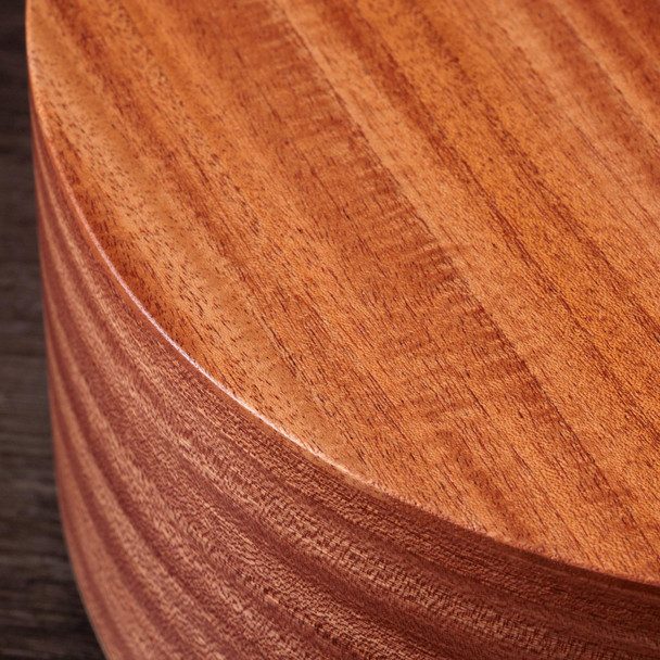 Taylor 24ce Grand Auditorium Electro Acoustic Guitar, Mahogany Top with Gig Bag