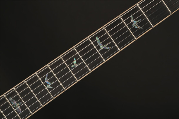 PRS SE Hollowbody II Piezo in Peacock Blue Smokeburst with Case