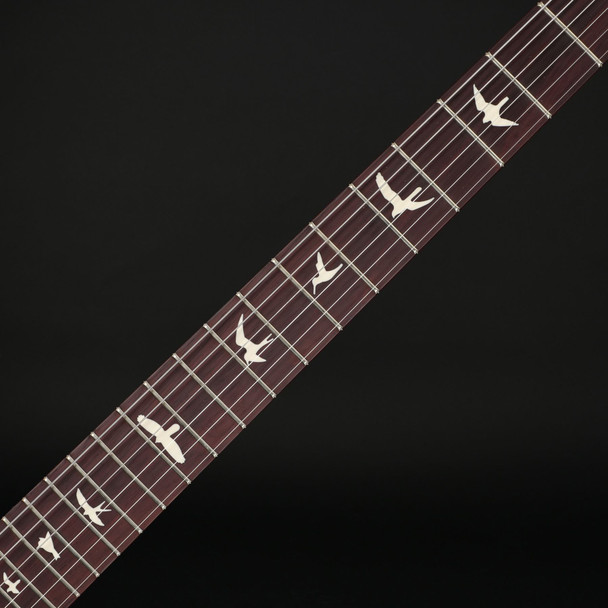 PRS S2 Special Semi-Hollow Reclaimed Limited Edition #S2081995