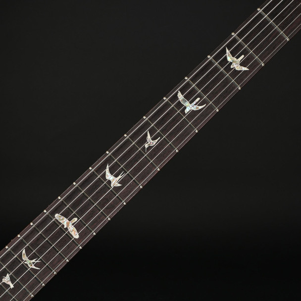 PRS DGT Gold Top with Birds #0408558