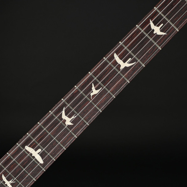 PRS S2 Vela Semi-Hollow, Mahogany Neck in Black Rainbow Holoflake #S2085375