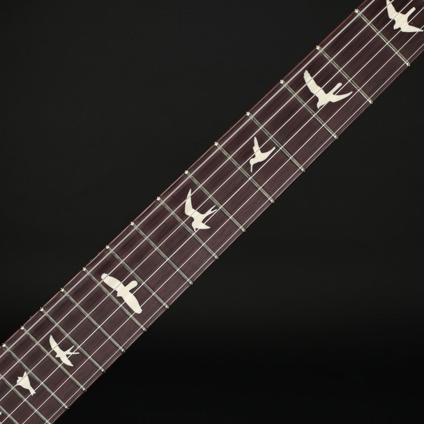 PRS S2 Vela Semi-Hollow, Cuban Mahogany Neck in Black Rainbow Holoflake #S2085110