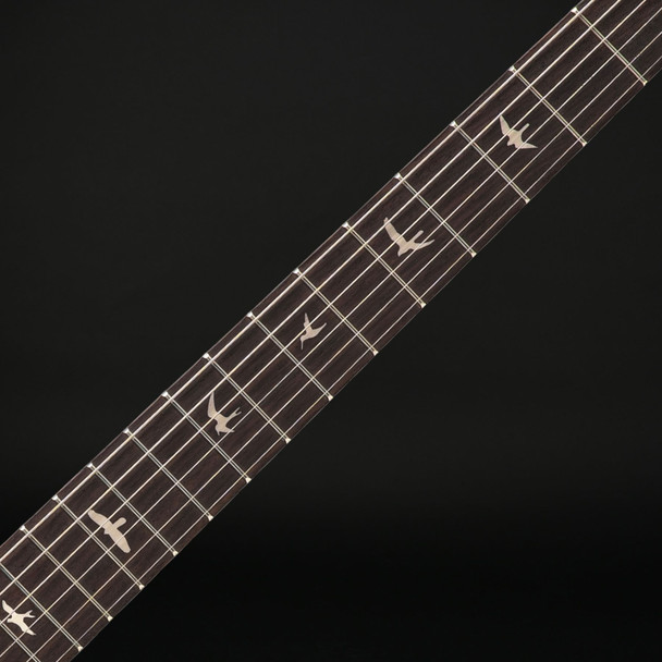 PRS SE Silver Sky Gold Spark Limited Edition with Gig Bag