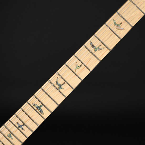 PRS SE NF53 in Black Doghair with Gig Bag #H030057