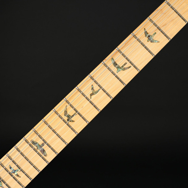 PRS SE Swamp Ash Special (2025) in Vintage Sunburst with Gig Bag #H013249