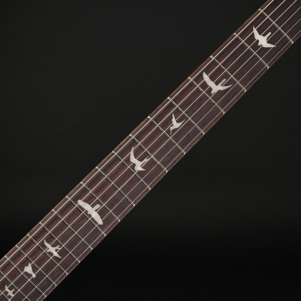 PRS SE Custom 24 (2026) in Trampas Green with Gig Bag with Gig Bag #H032396