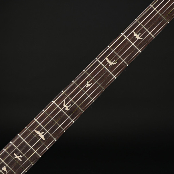 PRS SE Silver Sky in Laurel Green with Gig Bag