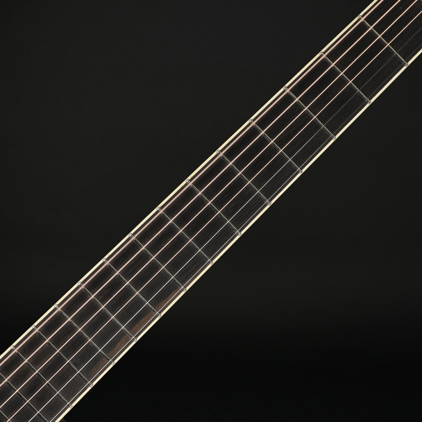 Eastman E20D-TC-LSH Large Sound Hole Dreadnought, Thermo Cured Adirondack/Rosewood #M2522750