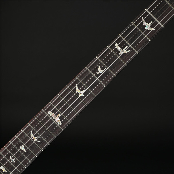 PRS Custom 24, DMO Pickups in Purple Mist #0417791