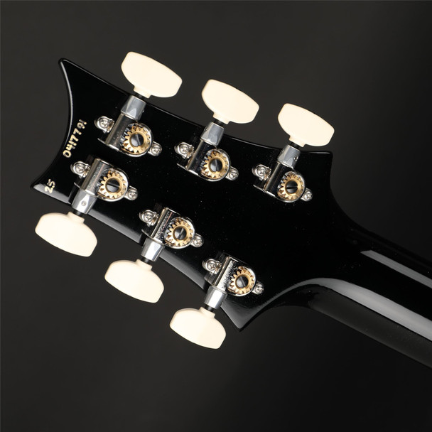 PRS Custom 24, DMO Pickups in Purple Mist #0417791