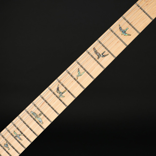 PRS SE Swamp Ash Special (2026) in Iridescent Blue with Gig Bag #H070605