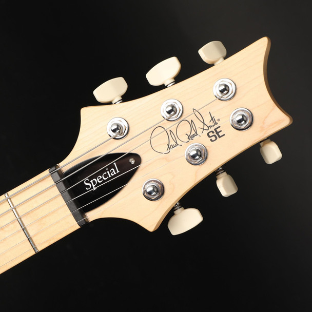 PRS SE Swamp Ash Special in Iridescent Blue with Gig Bag #H079687