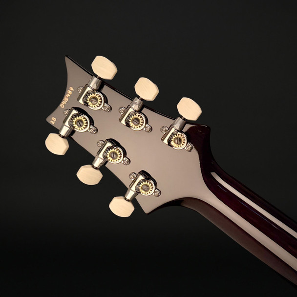 PRS DGT with Birds in Black Goldburst #0415489