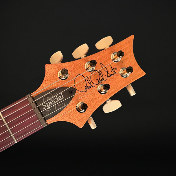 PRS S2 Special Semi-Hollow Reclaimed Limited Edition #S2085544