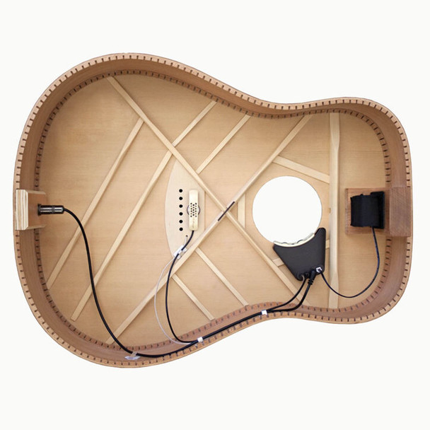 LR Baggs Anthem Acoustic Guitar Pickup with Mic