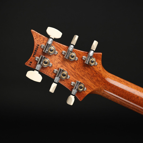 PRS Custom 24 Birds of a Feather Limited Edition in Charcoal Microburst