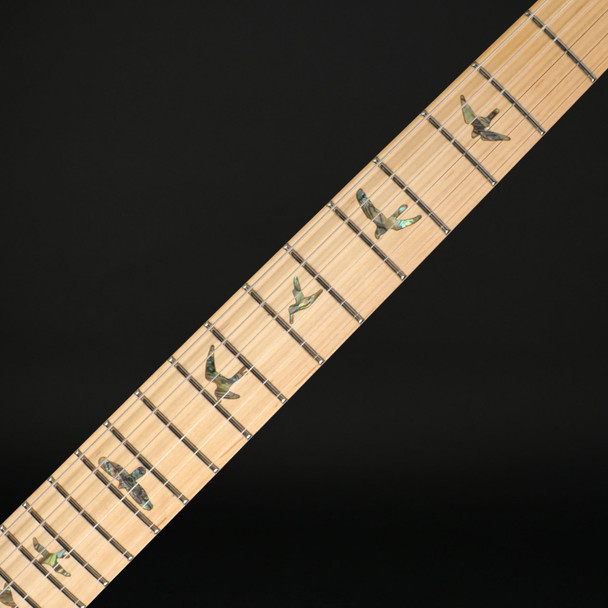 PRS SE Swamp Ash Special (2026) in Iridescent Blue with Gig Bag #I021394