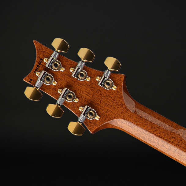 PRS Astryx Dany Villarreal Custom 24 Signature Limited Edition in Ocaso Sunset Finish
