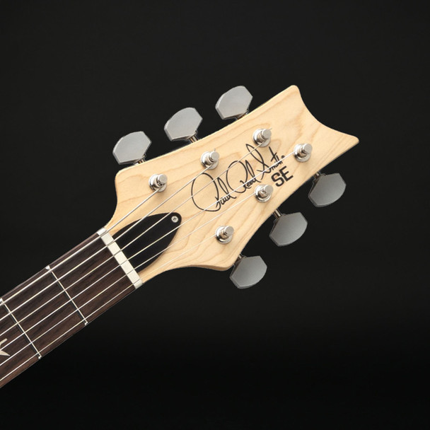 PRS SE Silver Sky Defender Limited Edition in Woolstone Green with Gig Bag