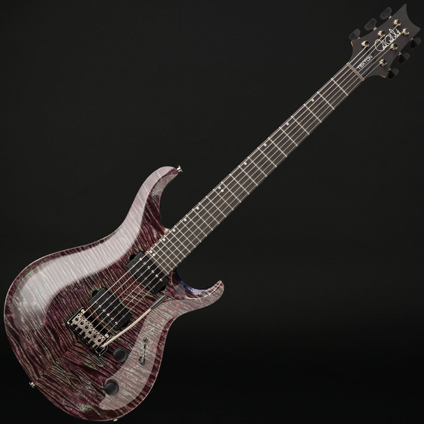 PRS Tekton T, Natural Neck, Violet Tourmaline with Gig Bag