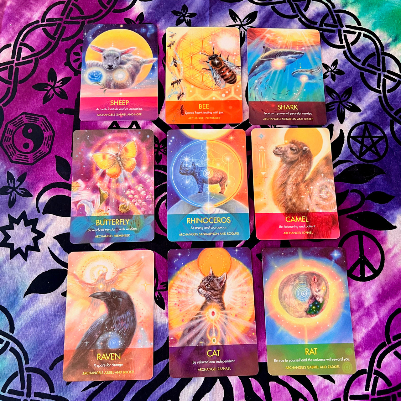 Archangel Animal Oracle Cards Mixture