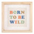 Wall Art - Born To Be Wild