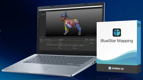 BlueStar Mapping Introduction
