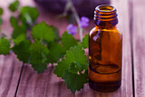 What Can Impact the Quality of Essential Oils?