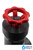 Top view of Spears 5232-015 plug gate valve with red handwheel