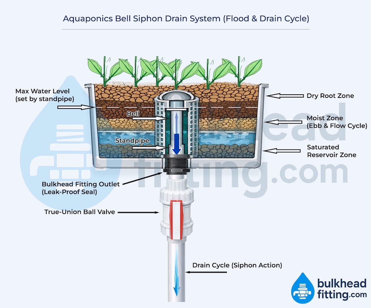 Aquaponics bell siphon system diagram showing flood and drain grow bed with bulkhead fitting drain