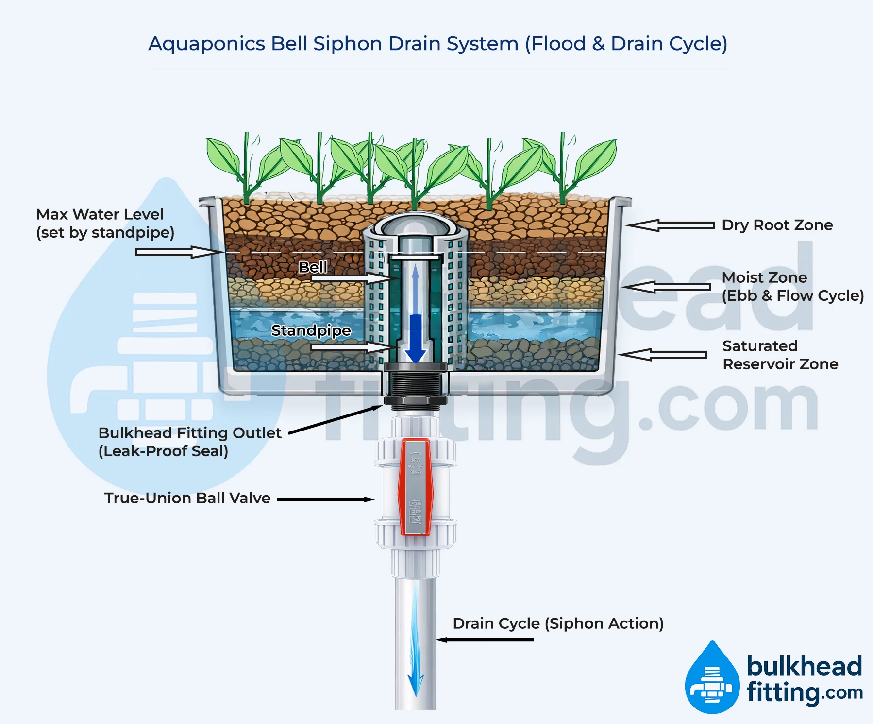 Aquaponics bell siphon drain system diagram showing flood and drain cycle with standpipe, bell, and bulkhead fitting outlet