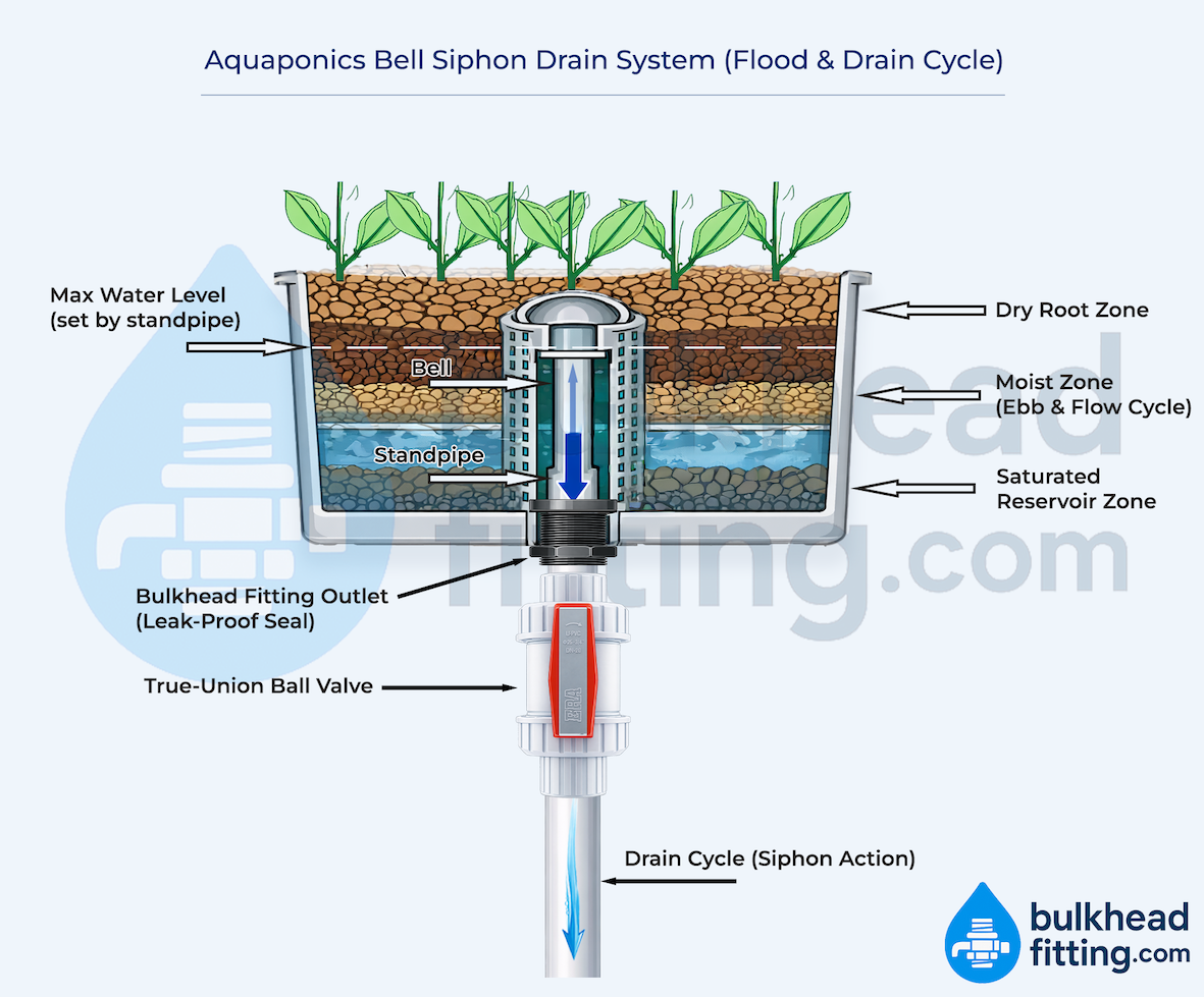 Aquaponics bell siphon system diagram showing flood and drain grow bed with bulkhead fitting drain