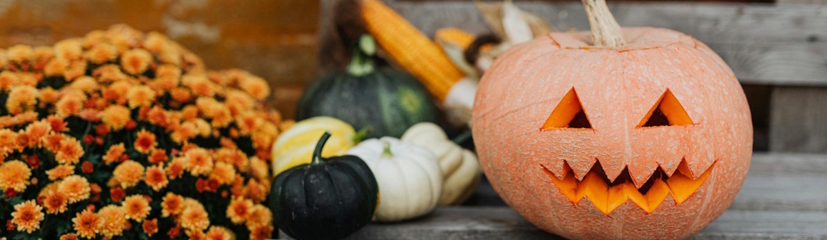 Seasonal Brewery Maintnenance