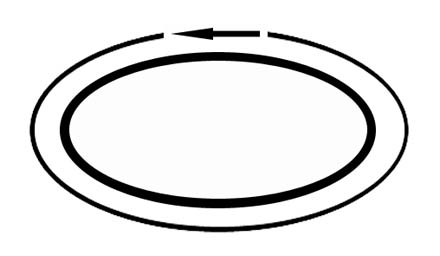 oval-perimeter-440.jpg