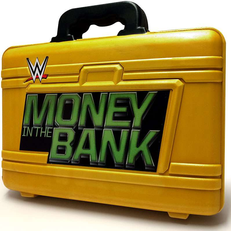 WWE Wrestling Seth Rollins DressUp with Money in the Bank Briefcase