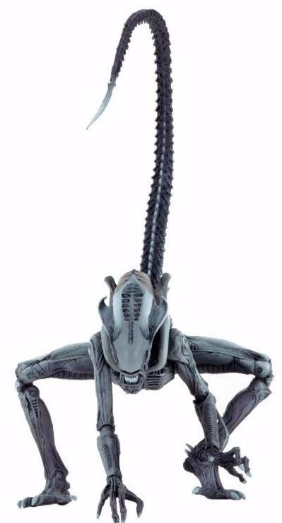 neca arachnoid alien
