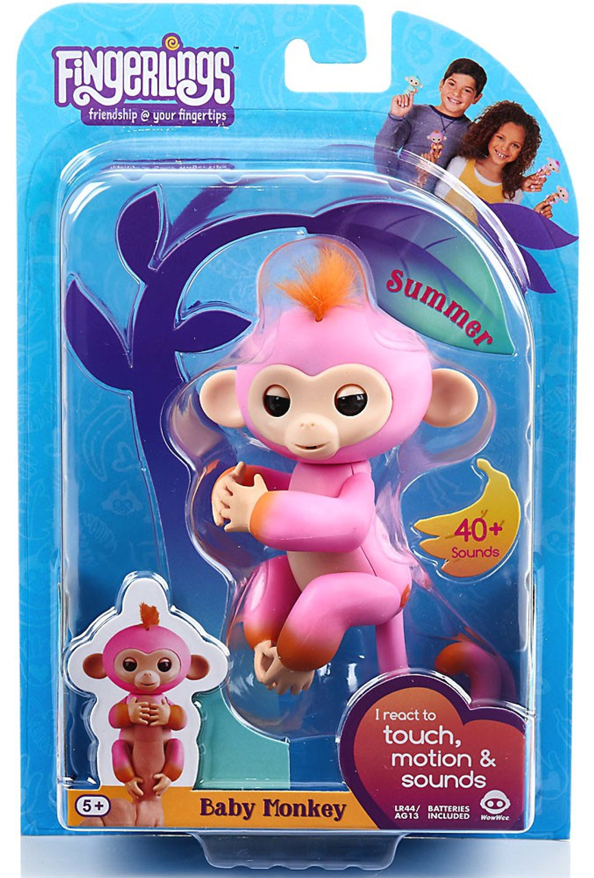 fingerling monkey