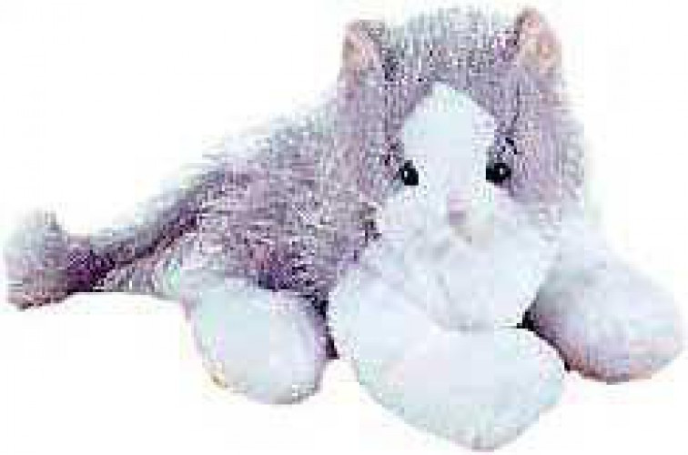 webkinz white cat