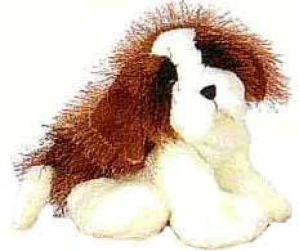 st bernard webkinz