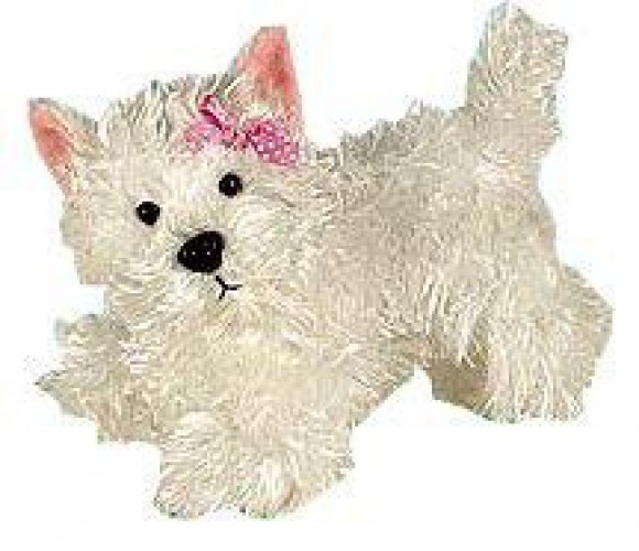 webkinz terrier