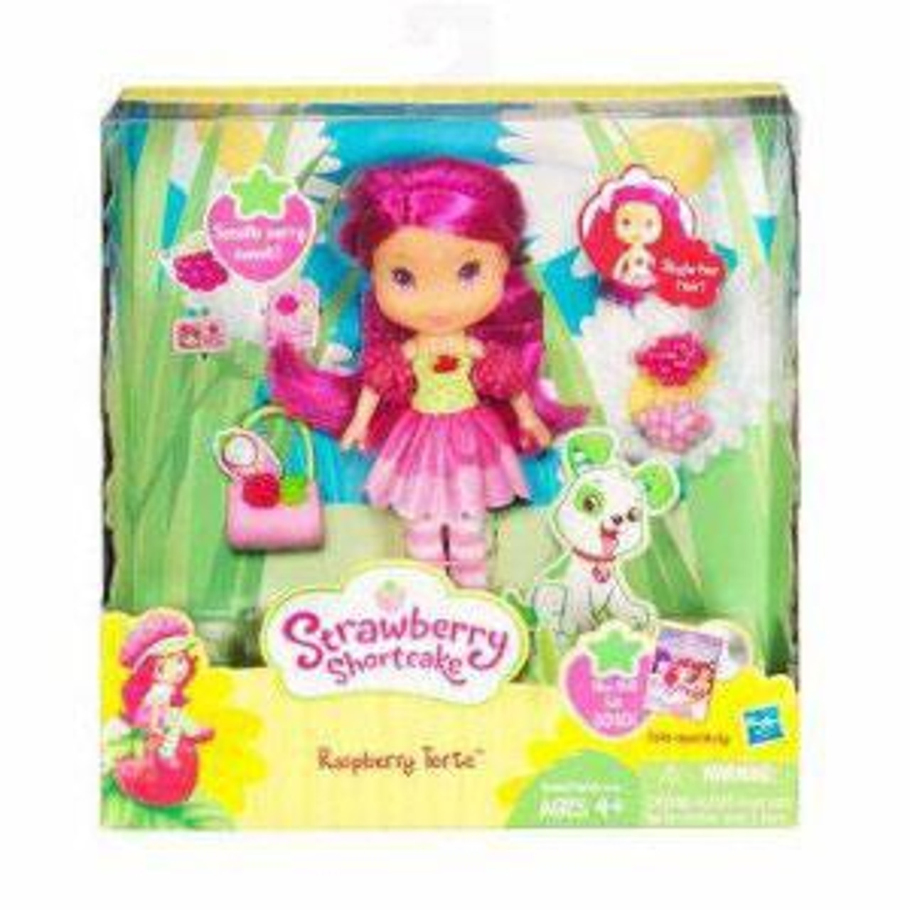 Strawberry Shortcake Raspberry Torte Doll Hasbro Toys - ToyWiz