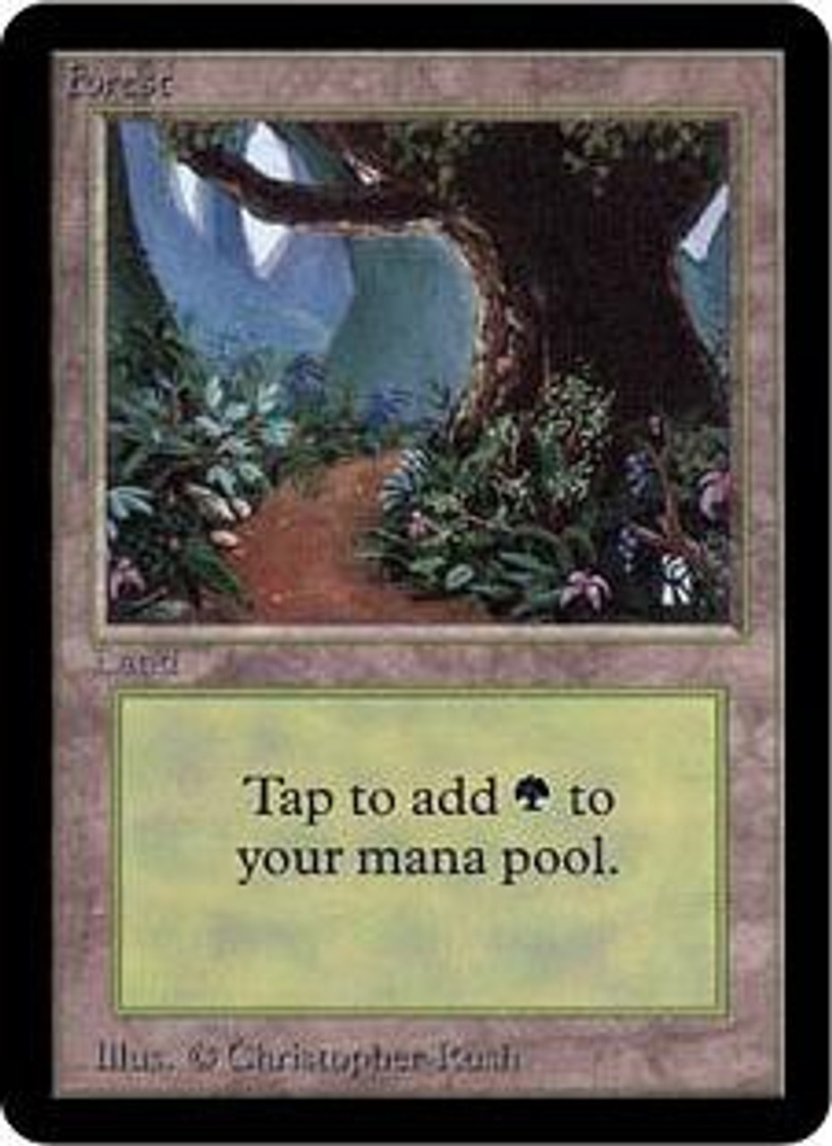 Magic The Gathering Alpha Single Card Basic Land Forest Random Artwork Slightly Played Toywiz - the horror forest 2 alpha roblox