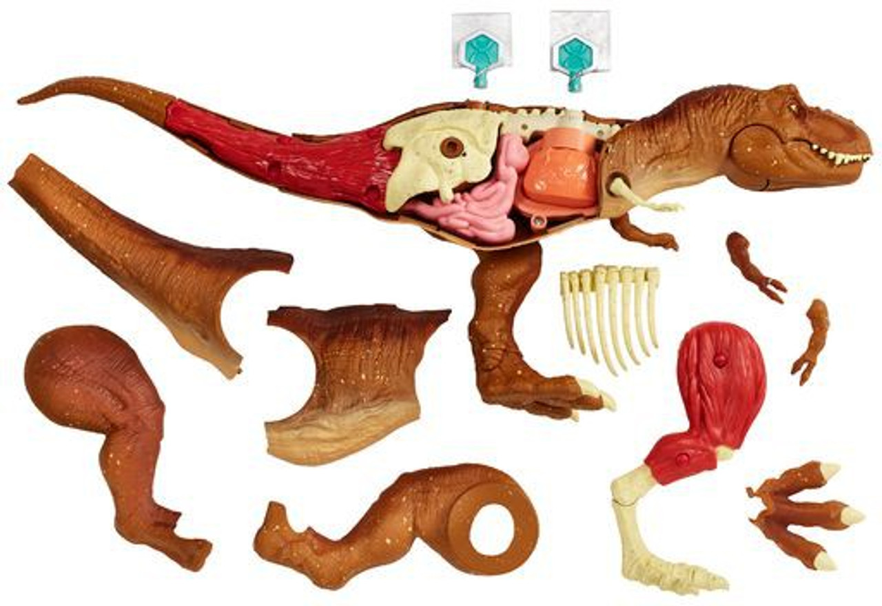 jurassic world stem anatomy kit