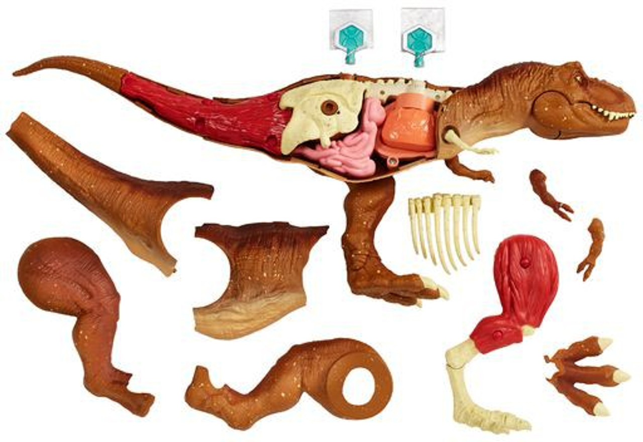 Jurassic World Fallen Kingdom Tyrannosaurus Rex Stem Anatomy Kit Mattel Toywiz - jurassic park rp roblox