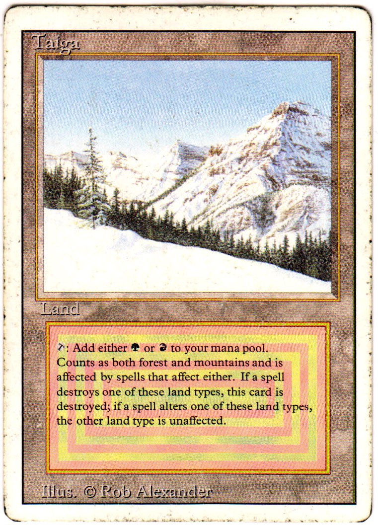 マジック：ザ・ギャザリング 1994 Magic: The Gathering Taiga PSA 8 Magic The Gathering Revised Single Card Rare Taiga 0609411405062