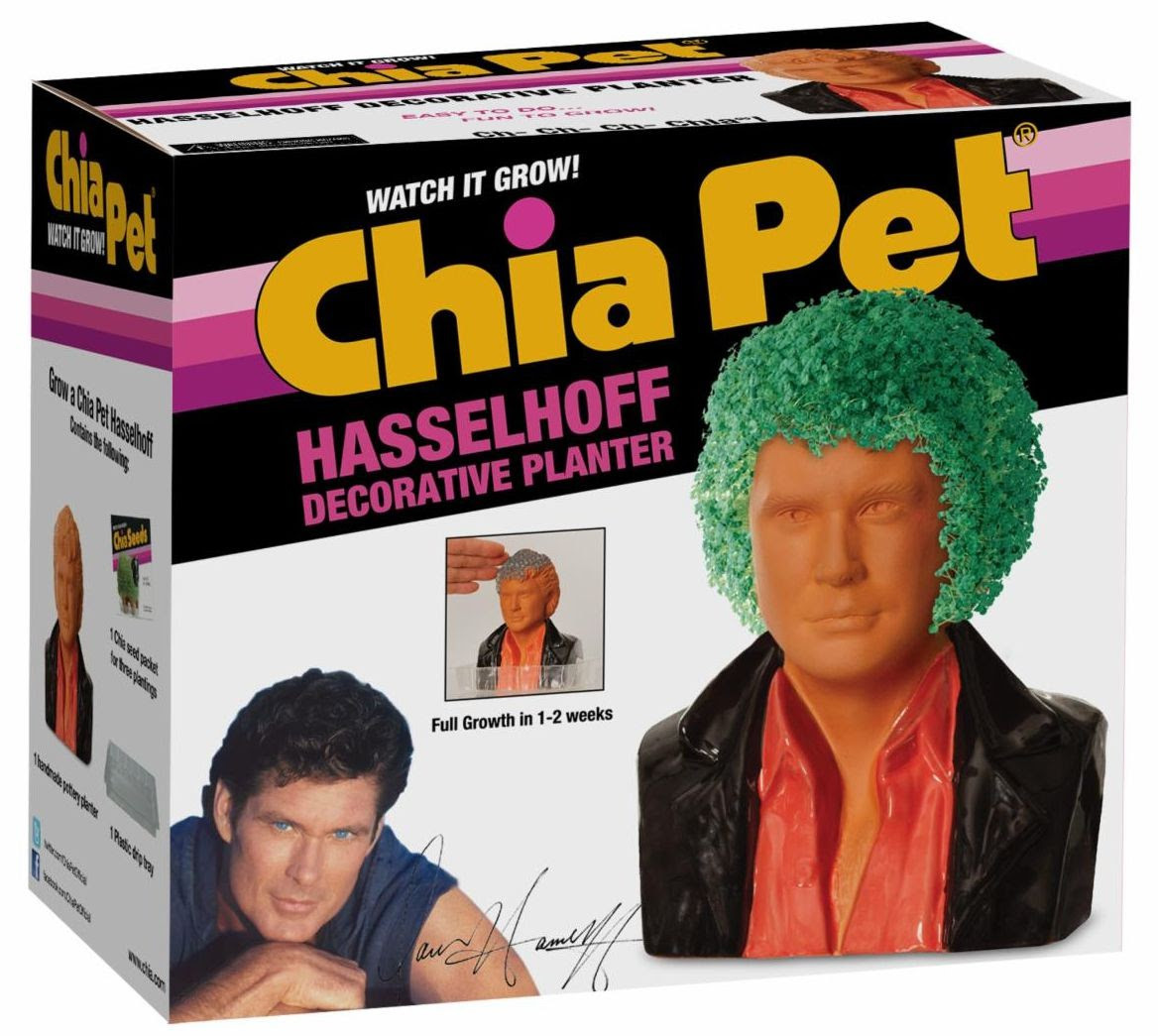 NECA David Hasselhoff David Hasselhoff Chia Pet - ToyWiz