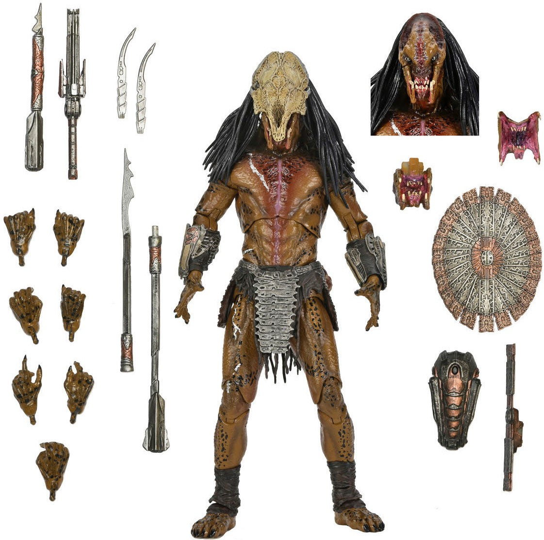 preyferalpredator__11005.