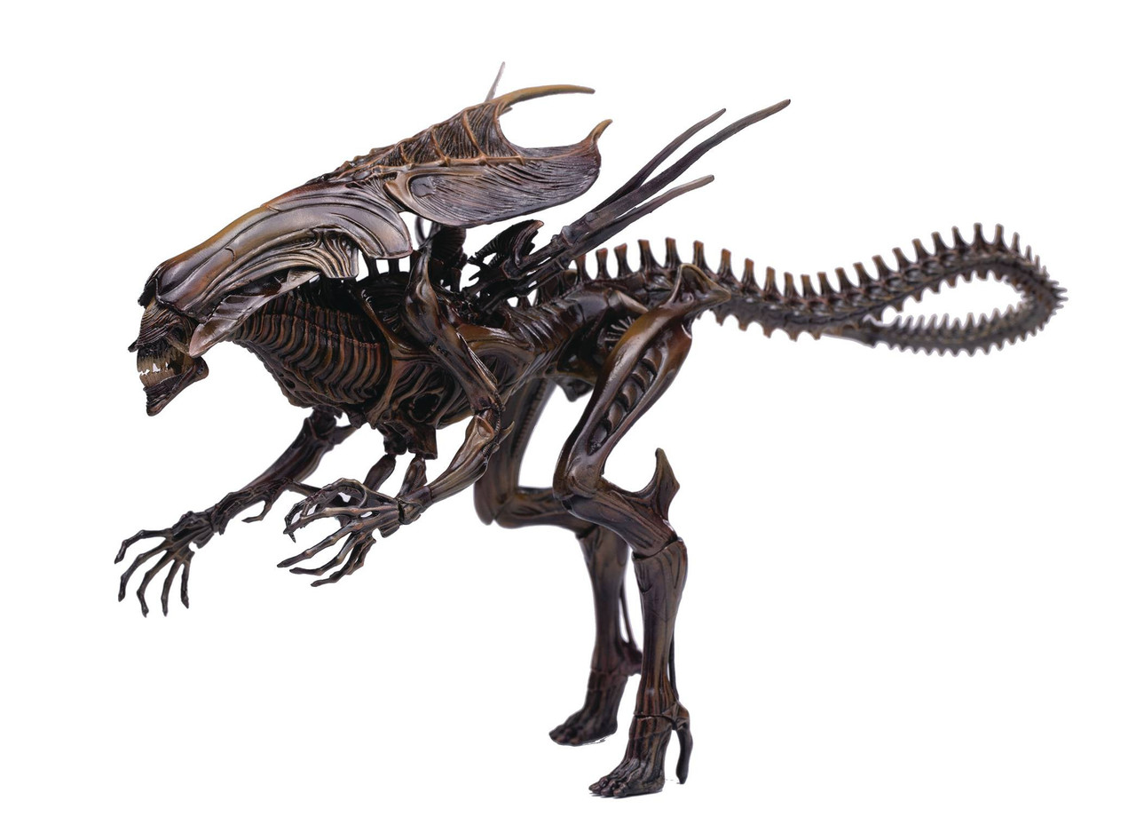 may218067dp__81169.1699900885.